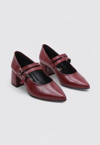 Zapatos de tacón Mary Jane de cuero burdeos con punteras puntiagudas, correas ajustables y tacones gruesos, con una textura suave y un interior negro.