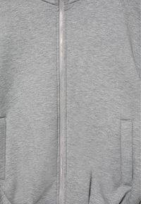 Vue de face d'un sweat à capuche gris clair avec deux poches latérales et une fermeture éclair argentée visible.