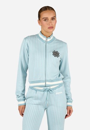 FERRARA - Kardigán - washed frost blue