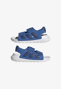 No seleccionado, bright royaldark blueftwr white