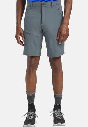 PICO TRAIL M - Outdoor Shorts - grey odessa