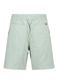 America Today Shorts - sea green