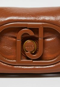 Brown leather crossbody bag with a shiny, embossed logo and a gold circular accent. Smooth texture with a soft, structured shape.