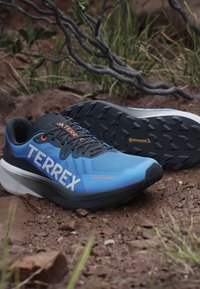 Blå och svarta löparskor med "TERREX"-logotyp, mesh-övre, dämpad sula och Continental-gummiyttersula för bra grepp.