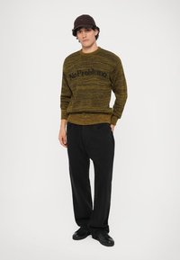 No Problemo MOSCA CREW NECK JUMPER - Neule - brown