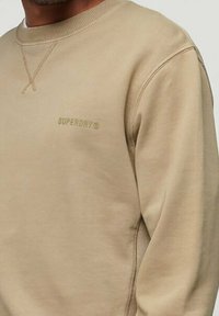 Felpa beige realizzata in materiale morbido, con colletto a girocollo e cuciture tonali. Logo "Superdry" in un design ricamato sottile.