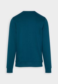 Felpa teal con maniche lunghe, scollo rotondo e polsini a costine. Texture liscia, design semplice, senza motivi o decorazioni.
