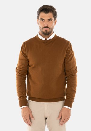 Maglione marrone a collo rotondo in morbido tessuto a maglia, con polsini e orlo a coste, abbinato a una camicia bianca con colletto sotto.