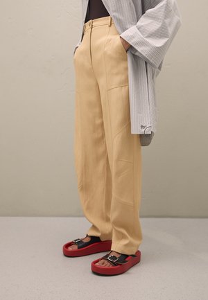 Alberta Ferretti Püksid - beige