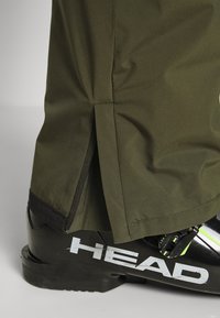 Billabong COMPASS - Calças de snowboard - dark forest