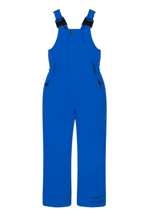 Blaue Schneeoveralls mit verstellbaren Trägern, Knopfverschluss vorne und zwei Seitentaschen. Hergestellt aus wasserdichtem Material mit glatter Textur.