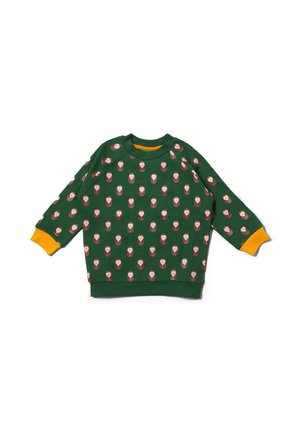 Grüner Sweatshirt mit Eulenmuster und orangefarbenen Akzenten an den Bündchen und am Kragen. Hergestellt aus weichem Stoff mit lockerer Passform.