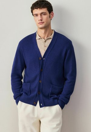 Ung mand iført en blå knap-up cardigan over en beige poloshirt og lyse bukser foran en ensfarvet væg.