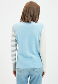 Maglione azzurro chiaro con maniche a righe grigie e bianche, caratterizzato da un orlo a coste e una texture morbida. Vista posteriore con una finitura liscia.