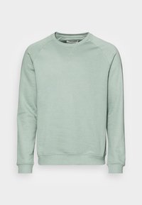 Felpa verde chiaro realizzata in misto cotone. Presenta maniche raglan, polsini e orlo a coste, e un collo rotondo. Texture liscia, senza motivi.