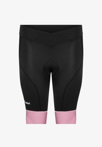 Vybrané, pink tulip