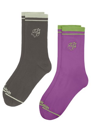 PAW CL C 2 PACK - Sportsocken - freesia flint