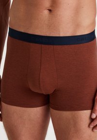 Calida NEW 3ER-PACK - Trunks - rooibos red