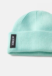 Gorro de malha verde menta com um punho dobrado, apresentando uma etiqueta retangular preta com o logótipo "TERREX". A textura é ribeteada e suave.