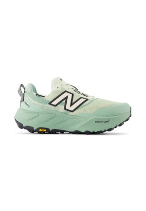 FRESH FOAM X HIERRO V9 GTX - Scarpe da trail running - mineral