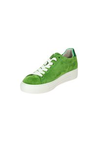 Green suede sneaker with white laces, white rubber sole, and green accents on the heel. Simple design with a rounded toe shape.