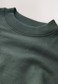 Grøn sweatshirt med rund hals, der har ribbet kant, blød tekstur og minimale syninger. Stoffet har en glat overflade.