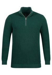 Grüner gerippter Pullover mit hohem Kragen und kurzem Reißverschluss. Mit einem strukturierten Strick und enganliegenden Bündchen. Schlichtes, lässiges Design.