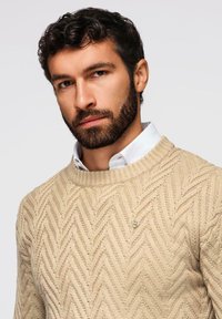 Maglione beige lavorato a maglia con un motivo a zigzag testurizzato e scollo a costine. Una piccola spilla decorativa è posizionata sulla zona del petto.