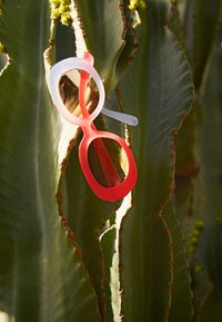 Raudoni ir skaidrūs plastikiniai akiniai nuo saulės su apvalia forma, kabantys ant žalio kaktuso lapo fono. Išskirtinis spalvų kontrastas ir modernus dizainas.