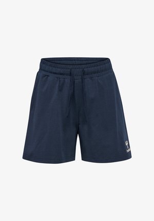 Niña sonriente con el pelo trenzado lleva una camiseta azul, pantalones cortos azul marino, calcetines blancos y zapatillas azules, de pie frente a un fondo blanco liso.