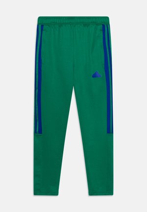 Pantalones deportivos verdes con cintura ajustable por cordón, que presentan franjas laterales azules y un logotipo bordado azul en la cadera izquierda. Fabricados con un tejido suave.