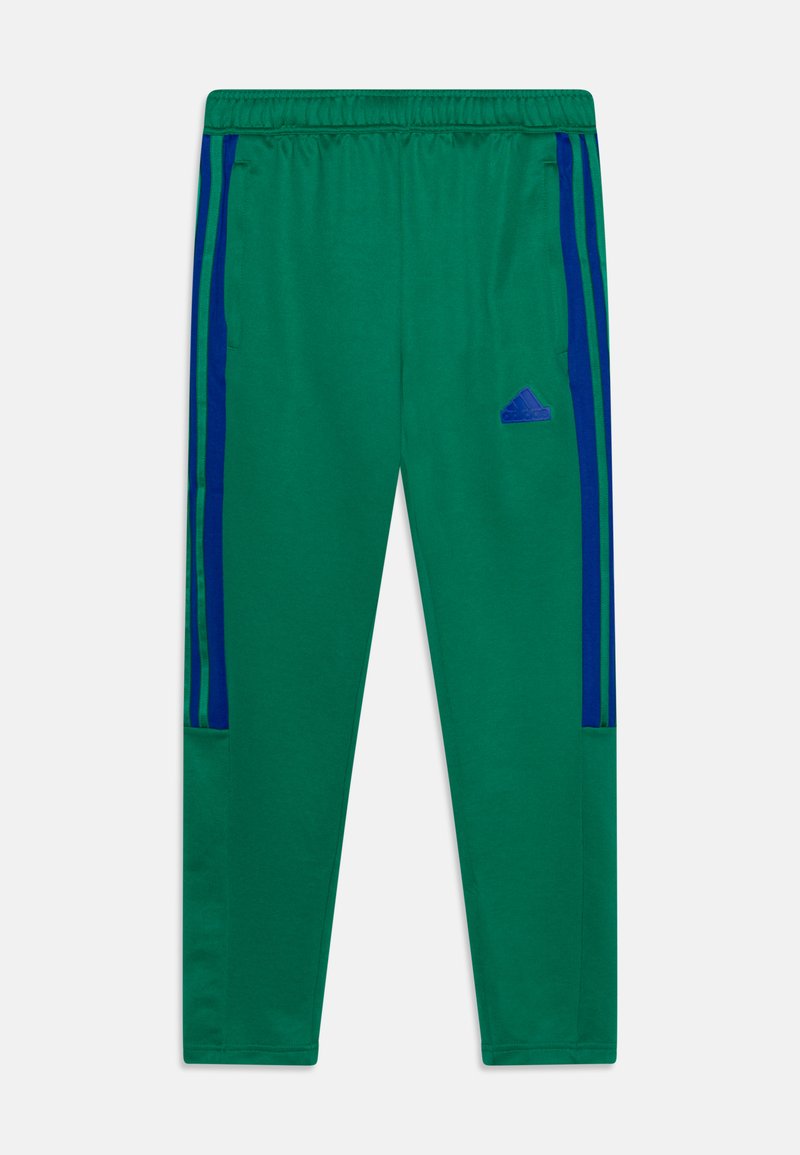 Pantalones deportivos verdes con cintura ajustable por cordón, que presentan franjas laterales azules y un logotipo bordado azul en la cadera izquierda. Fabricados con un tejido suave.