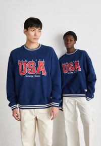 Tommy Jeans ARCHIVE GAMES TEAM USA CREW UNISEX - Sudadera - twilight indigo