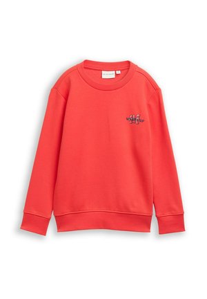 Sweater - soft red