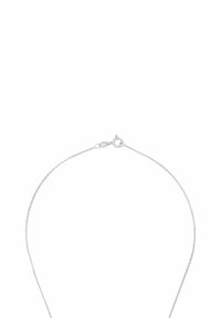 Collar de cadena de plata con un diseño delicado, que presenta un patrón de eslabones finos, un brillo sutil y un cierre de langosta.