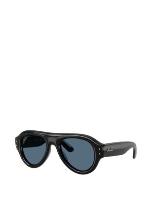Gafas de sol Ray-Ban negras con montura gruesa y redondeada y lentes oscuras, mostradas en un ligero ángulo sobre un fondo blanco.