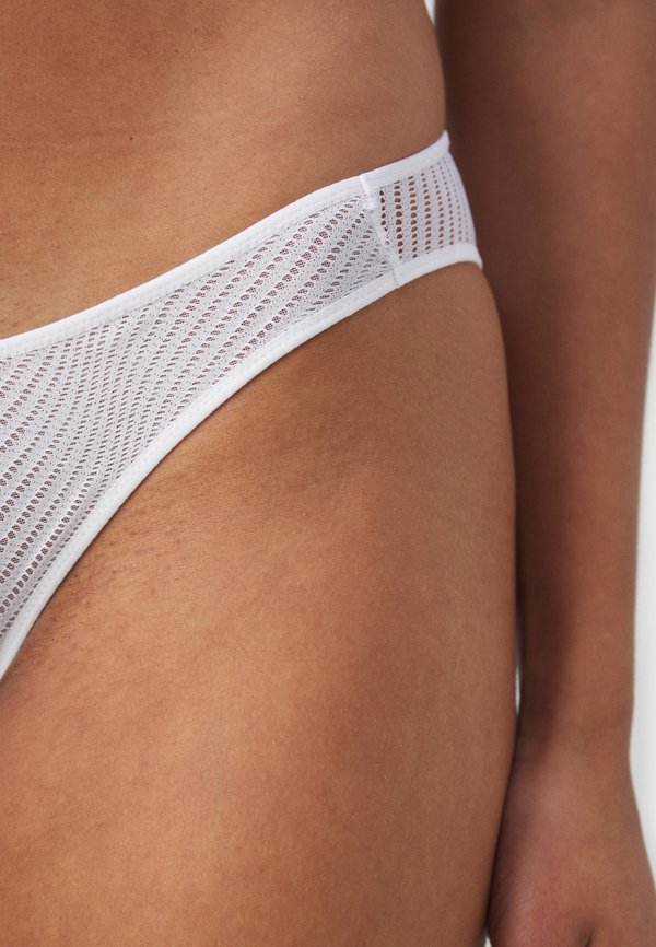 HARMONY SPOTLIGHT - Briefs2