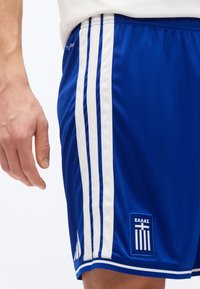 Κοντινό πλάνο ενός ατόμου που φορά μπλε αθλητικά σορτς με λευκές ρίγες και ελληνικό έμβλημα στο πόδι, δίπλα σε ένα χαλαρό χέρι.