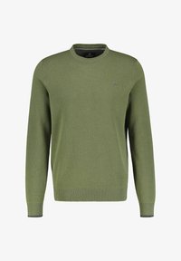 Ausgewählt, sage green (612)