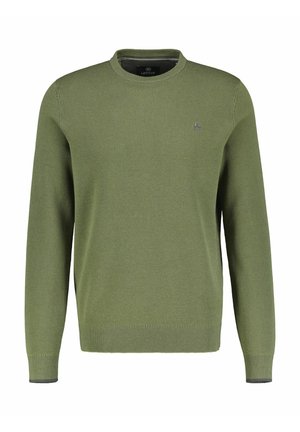 Grüner gestrickter Pullover mit rundem Hals, langen Ärmeln und einem dezenten strukturierten Muster. Kleine Logo-Applikation auf der Brust.