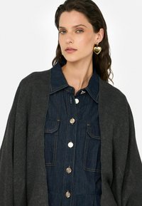 Denim jurk in donkergroen met gouden knopen, gecombineerd met een grijze wollen omslagdoek. Gouden hartvormige oorbellen als opvallende accessoire.