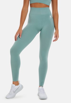 SQUATPROOF ALBION SEAMLESS HIGH WAISTED - Tajice-hlače - light green