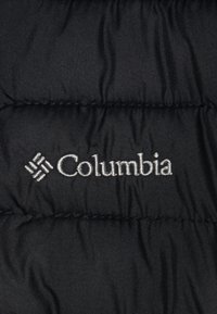 Columbia POWDER LITE HOODED JACKET UNISEX - Lagana jakna - dark stone/bla