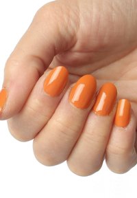 Immagine in miniatura 5