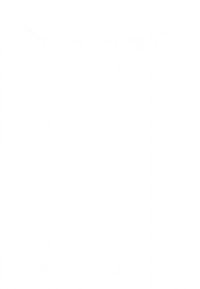 Prázdne biele pozadie bez rozlíšiteľných rysov alebo objektov.