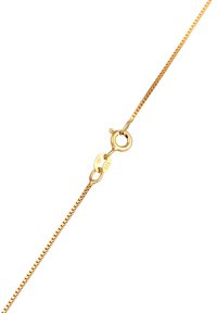 Elli TURTLE COIN - Halskæder - gold-coloured