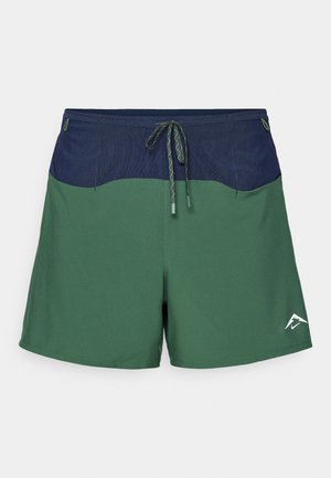 Grüne Badeshorts mit einem marineblauen Bund, ausgestattet mit einem Kordelzug, glatter Textur und einem weißen Logo auf der unteren rechten Seite.