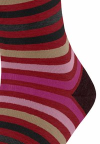 FALKE TINTED STRIPE - Socken - ingle