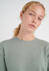 Maglione verde chiaro con scollo rotondo, polsini a coste e una texture morbida. Design semplice, senza motivi o embellishments visibili.