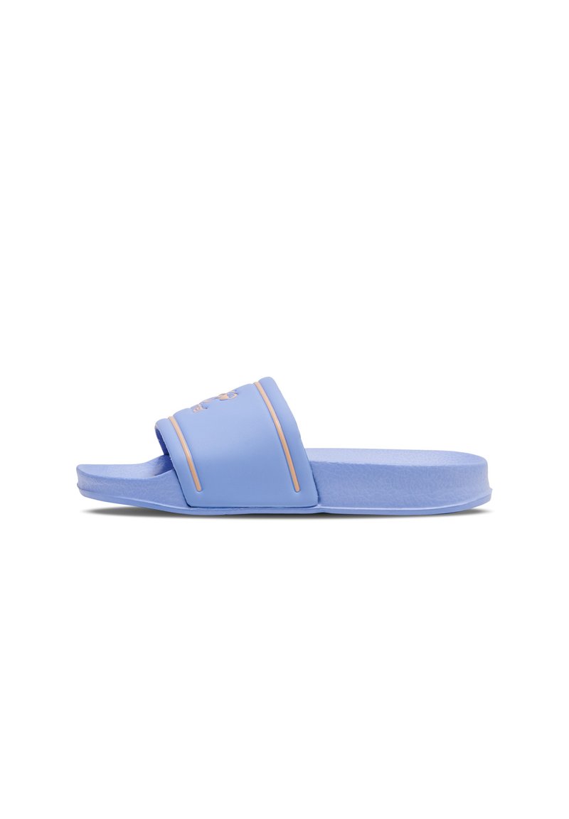 Hummel Pool slides - hydrangea